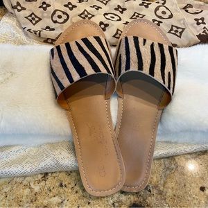 Coconuts by Matisse slides